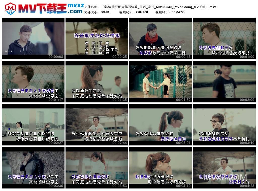 丁童-流着眼泪为你写情歌_国语_流行_MB100540